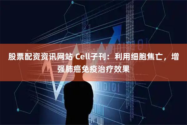 股票配资资讯网站 Cell子刊：利用细胞焦亡，增强肺癌免疫治疗效果
